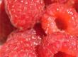 Recipes for Raspberries