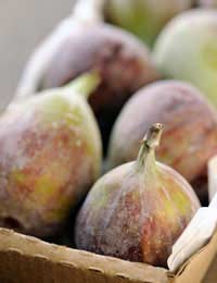 Figs Growing Fruit Ripe Plant Root