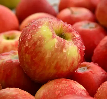 dessert apples