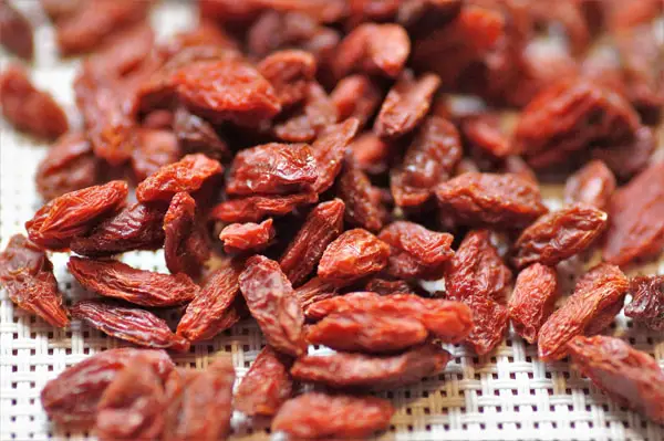 goji berry plants - image of dried berries