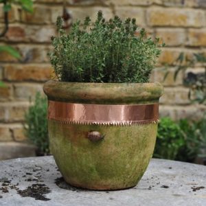 Copper snail and slug tape