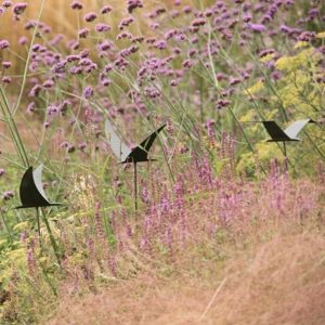 Silhouette flying bird