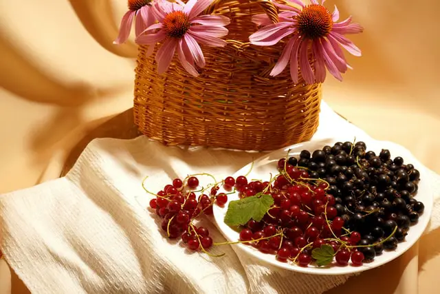 blackcurrants and redcurrants on a plate