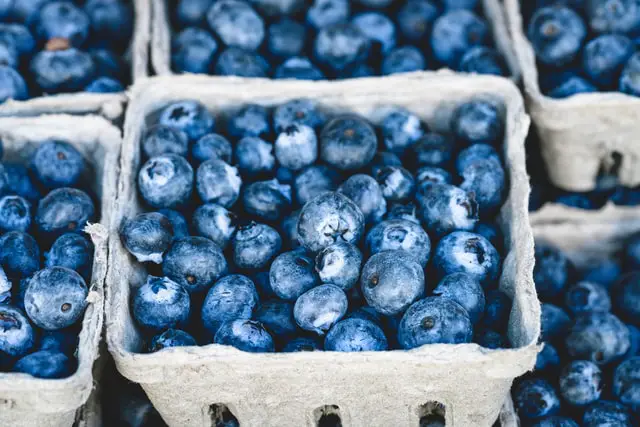 multiple punnets of blueberries