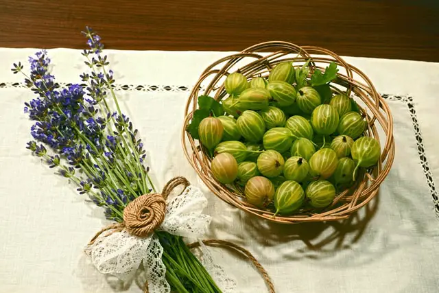 Basket of gooseberries with a bunch of lavender beside it