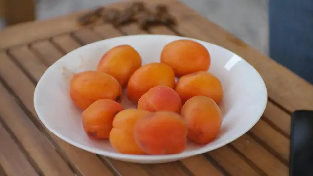 An apricot glut waiting to be used up