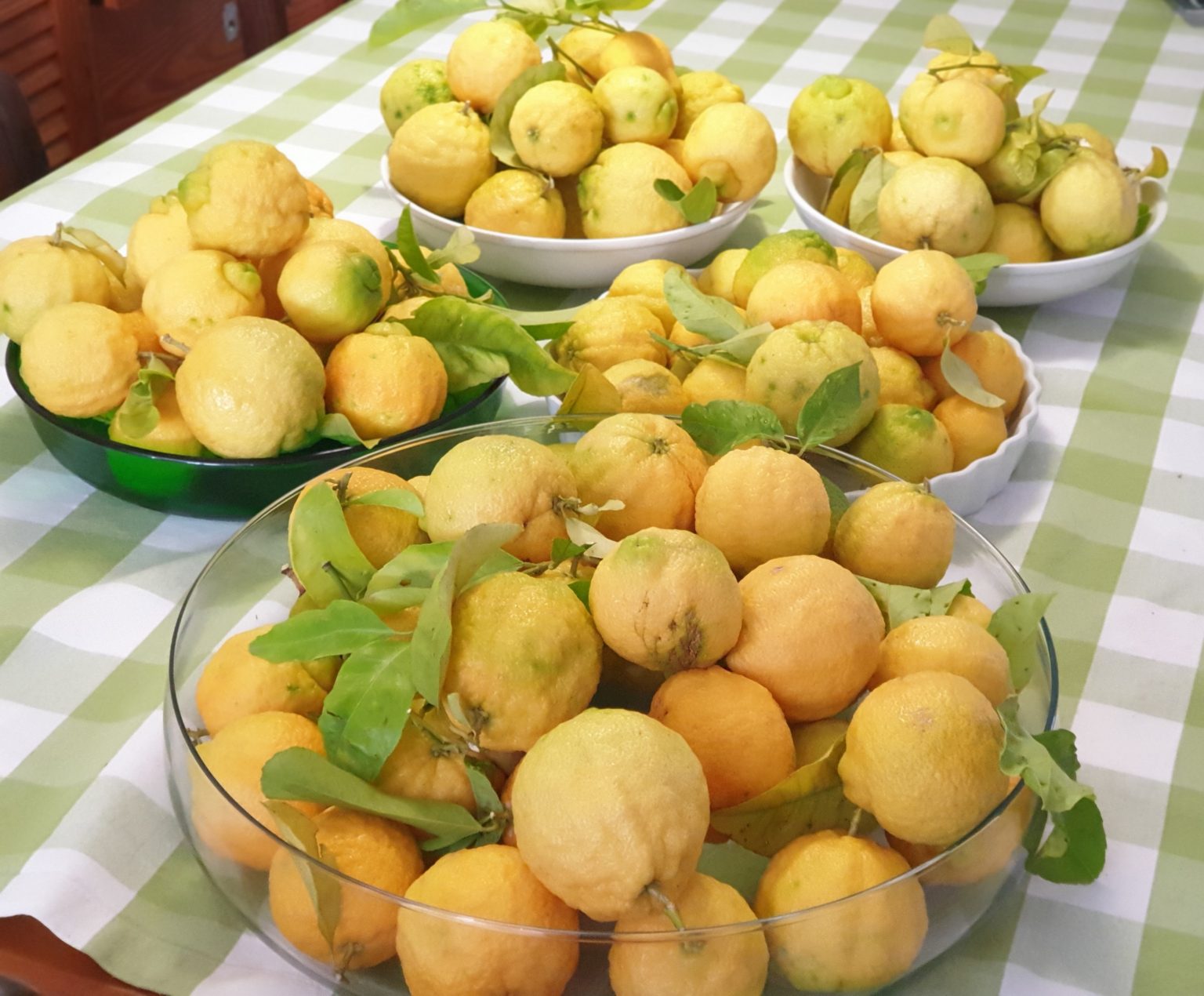 Can You Freeze Quince? Preparation & How to Guide Fruit Expert