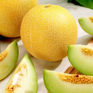 Melon (Galia) Seeds - F1 Lavi Gal