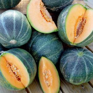 Melon Seeds - Petit Gris de Rennes