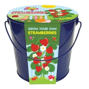 childrens grow bucket strawberry