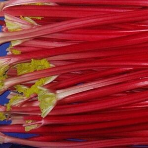 rhubarb Raspberry Red