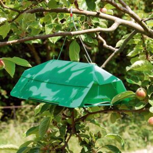 Codling Moth and Plum Moth Traps