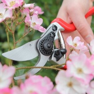 Darlac expert bypass pruner