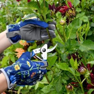 RHS Burgon and Ball British Meadow pruner and holster