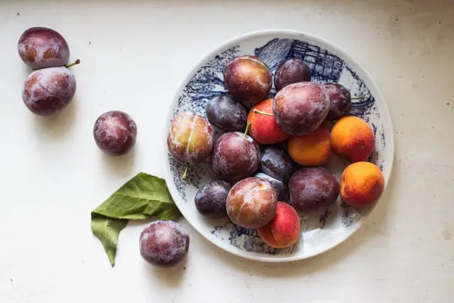 plum fruit growing