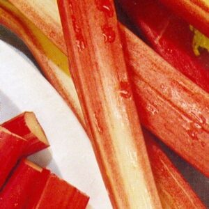 rhubarb Goliath