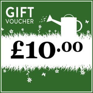 eGift Voucher