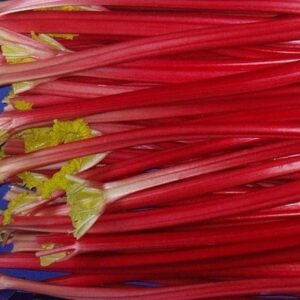 rhubarb Raspberry Red