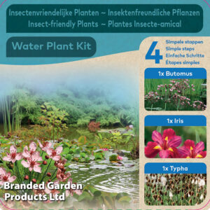 Insects Pond Kit