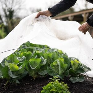 Insectonet plastic free insect netting