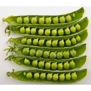 Peas Petit Pois